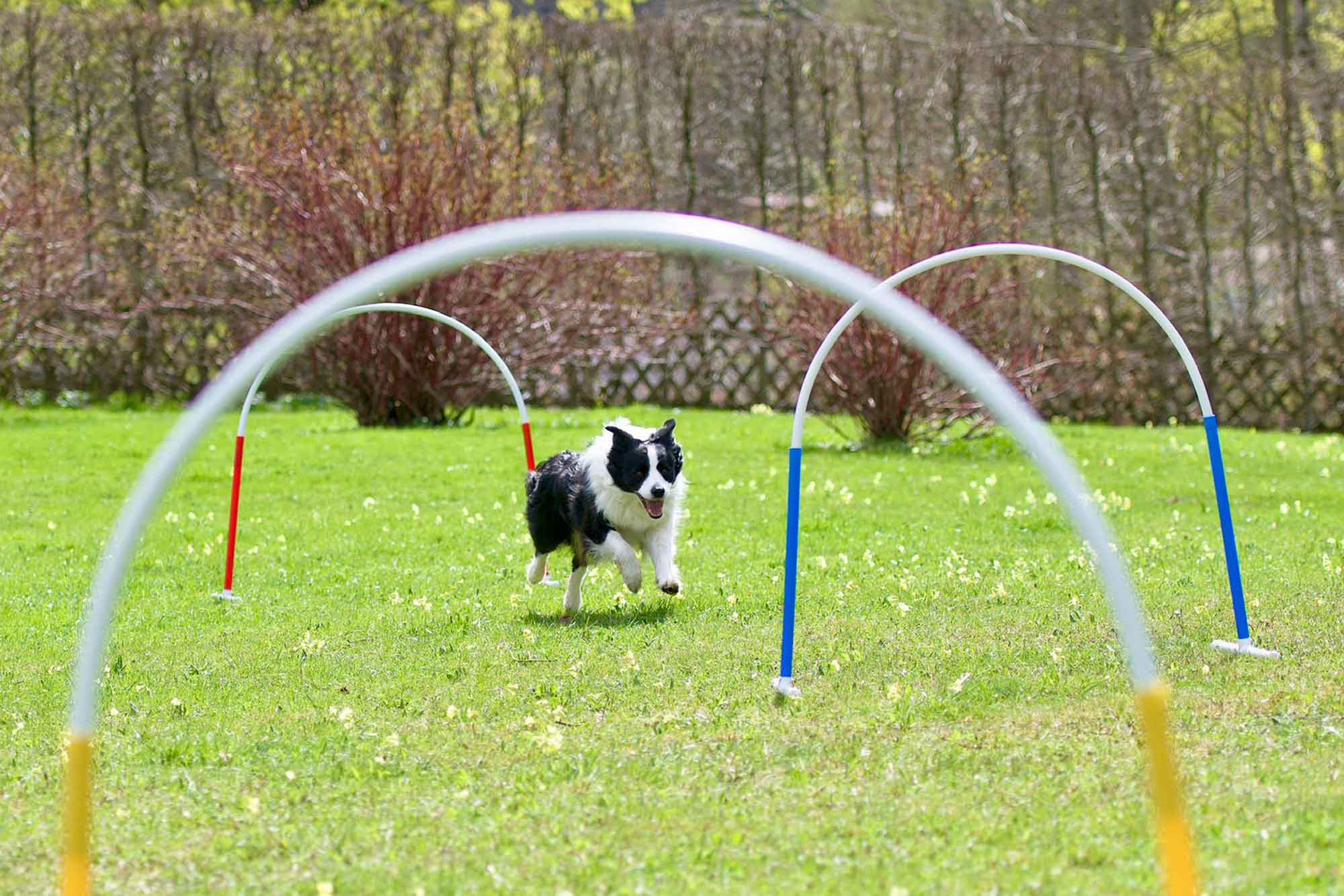 02-hoopers